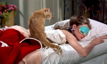 How can you wake up easier in the morning?