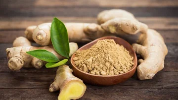Good Body Detoxification Counsel