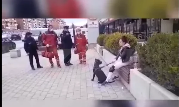 Qytetares iu hodh sprej për shkak se nuk i vendosi maskë qenit, flasin nga Policia