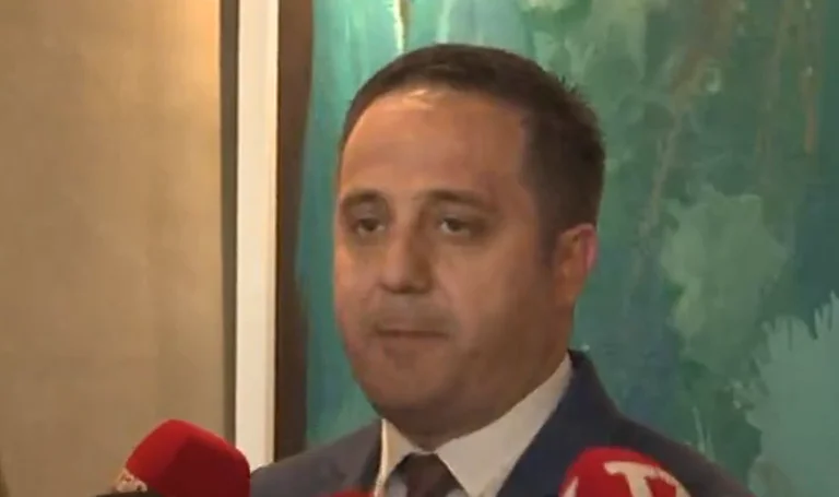 Selmanaj: Po iu mbajmë shkollë demokracie partive tjera politike