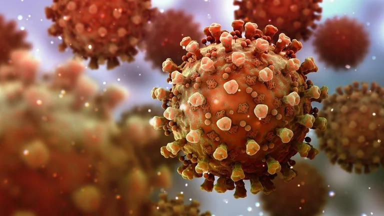Can you be infected twice with coronarys?