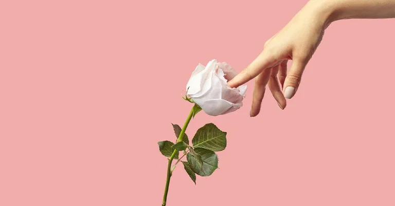 7 Il più popolare Fantasie sessuali