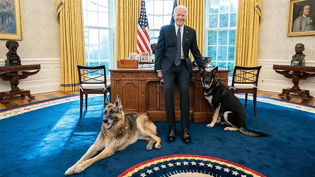 Morso di sicurezza: portavoce della Casa Bianca dice che Biden non ha espulso i cani