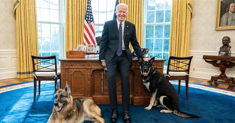 Los perros Beden son despedidos de la Casa Blanca, uno atacó al personal.