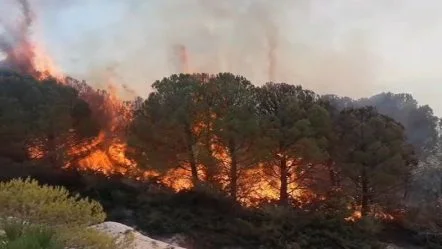 Tolles Feuer in der Nähe von Lake Badovci