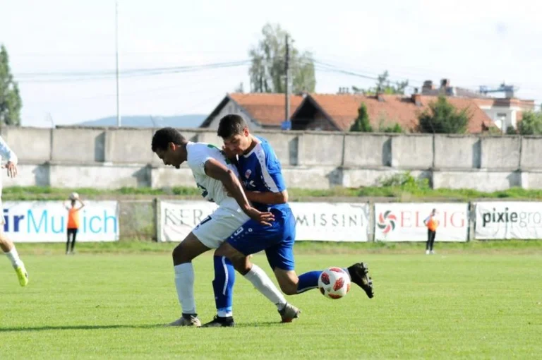 In Mitrovica, high- shape squad den