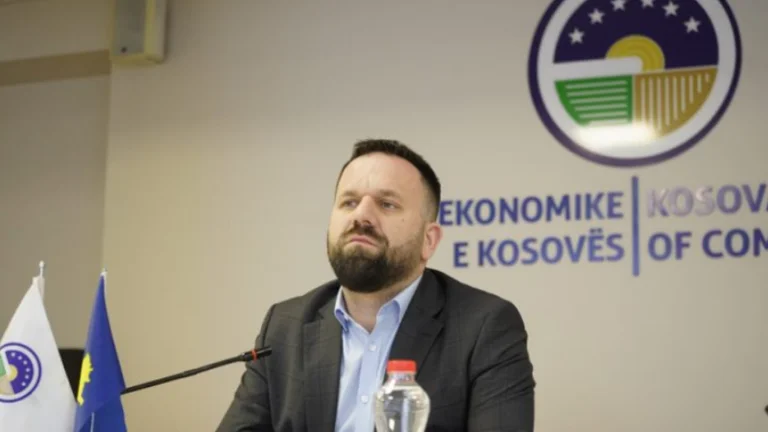 Rukiqi: Mosmiratimi i Projektligjit për Rimëkëmbje mund të shkaktojë dëme të pariparueshme në ekonomi