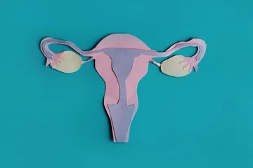 From the pain of the middle to the breath: Symptoms of ovaries Cancer