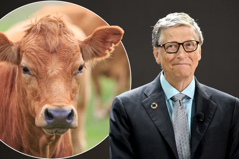 Bill Gates quiere comer 100% sintético para evitar el desastre climático