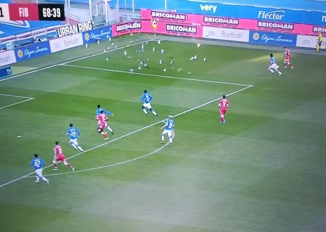 Inesperada: Las palomas capturan el estadio Sampdoria