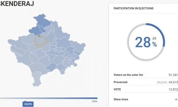 28 per cent of citizens vote in Skenderaj