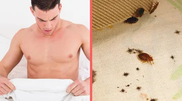 What can happen if you don't wash your sheets