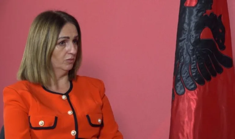 VV's Nagavci completely burns the reality: 13 reasons for red tape