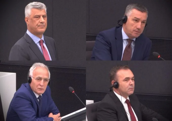 Specialista Dichiarato per la sessione su Thaci, Veselin, Selimi Krasniqi