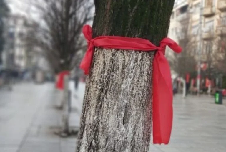 Conflit entre analystes et candidats VV : Expliquer la signification du foulard rouge