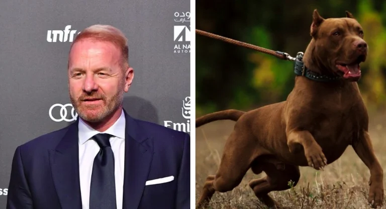 Il tire sur ses chiens. Igli Taren est attaquée par une boulette.