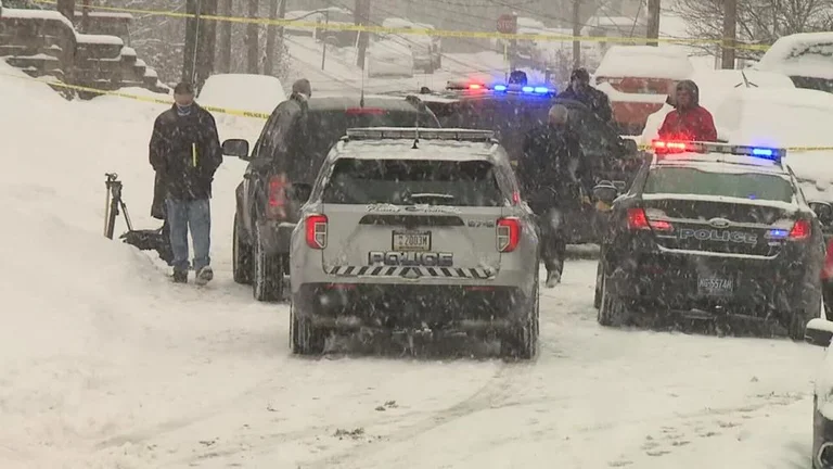 They threw the snow in the yard, the American kills two neighbors, and finally himself