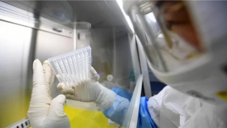 O Experts BSH in Wuhan: It is possible that the virus was released from the laboratory