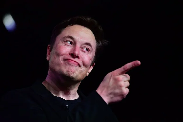 Elon Musk sagt, er macht Affen spielen Videospiele, aber wie?