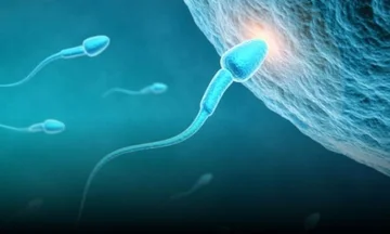 Studie: Coronavirus beeinflusst Spermienqualität negativ