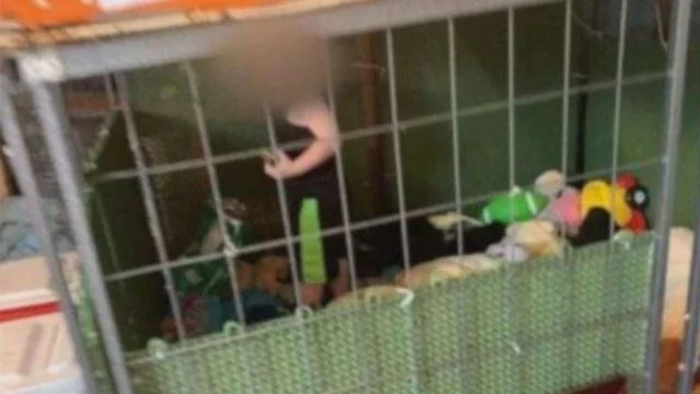 E rëndë: Mbanin mbesën 5 vjeçare të mbyllur në një kafaz qensh, arrestohen gjyshërit
