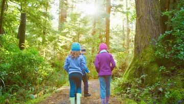 Why is it vital that you bring your children into the wild 40 minutes a day?