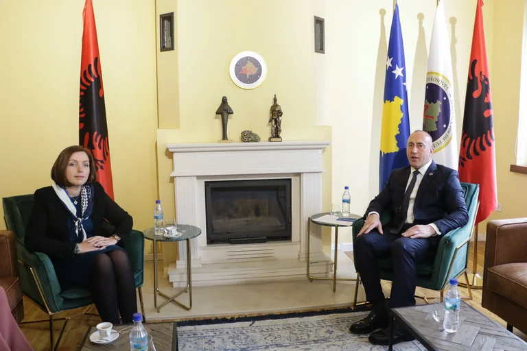 Haradinaj: Synojmë që diaspora të ketë vende të rezervuara në Kuvend dhe votim fizik në përfaqësitë diplomatike