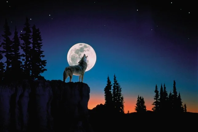 Full Wolf Moon: Why is it called that, and at what time of January it will appear?
