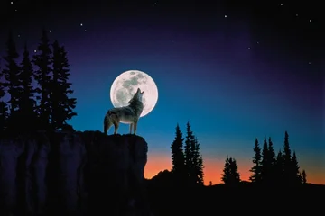 Full Wolf Moon: Why is it called that, and at what time of January it will appear?