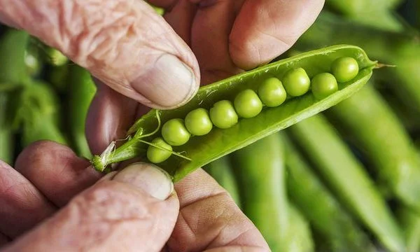 5 Les glucides les plus sains à être en forme