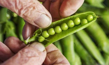5 Die gesundheitlichsten Carbs zu sein in Form