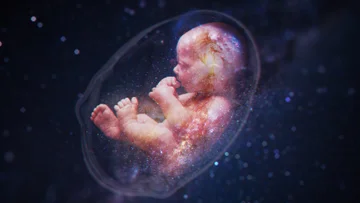 3 Things a Child Teaches From Mother's womb