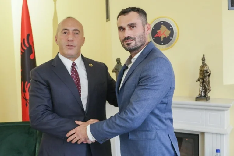 Haradinaj presents next adoption, a mining sector professional