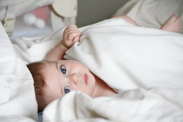 What parent inherits intelligence? What Studies Say