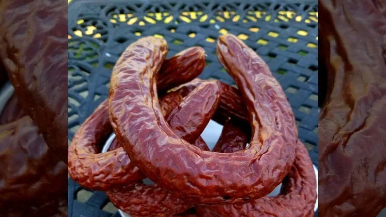 Kosovar gefangen etwa 40kg Schweinewurst am amerikanischen Flughafen