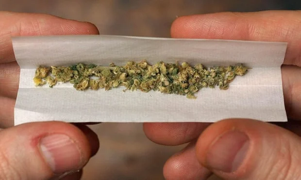 Llama a las prisiones en Gran Bretaña, no Holanda, para probar el cannabis libre para los presos
