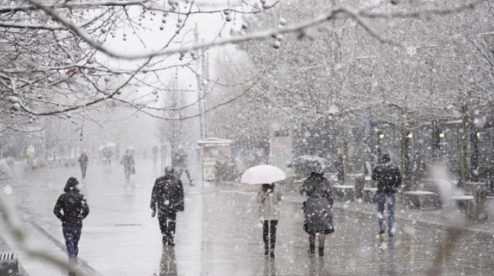 Sunday Rain and Snow