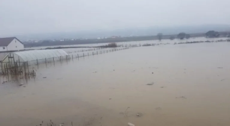 La empresa cubre el agua