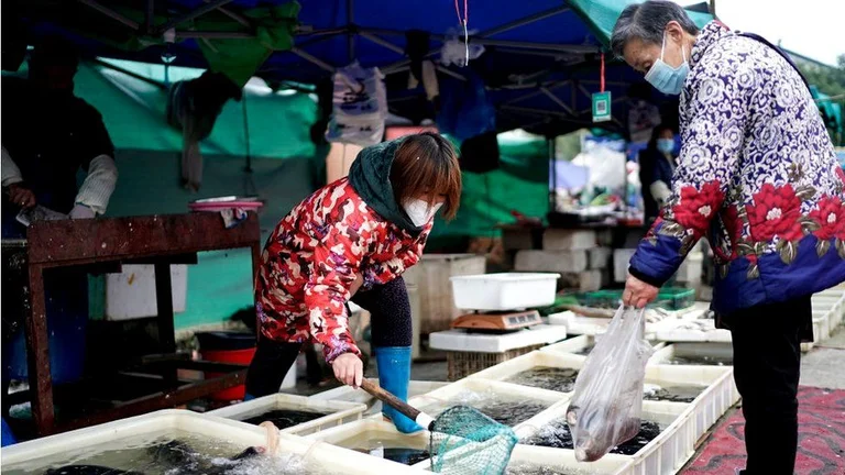 WTO-Ermittler sollen den Ursprung des Virus untersuchen, der vom Eintreten Chinas barrot ist