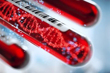 Blood type says a lot about your personality, find your characteristics