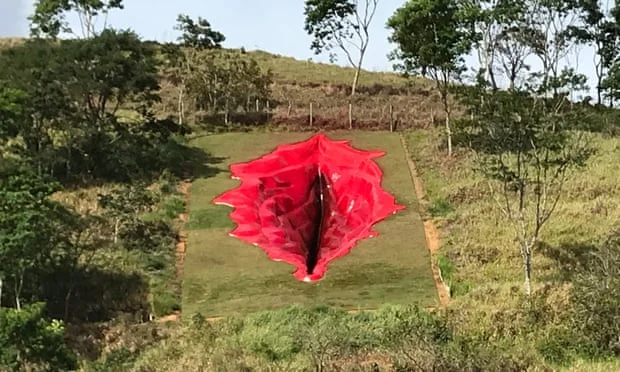 La vagina di 33 piedi provoca disordini in Brasile