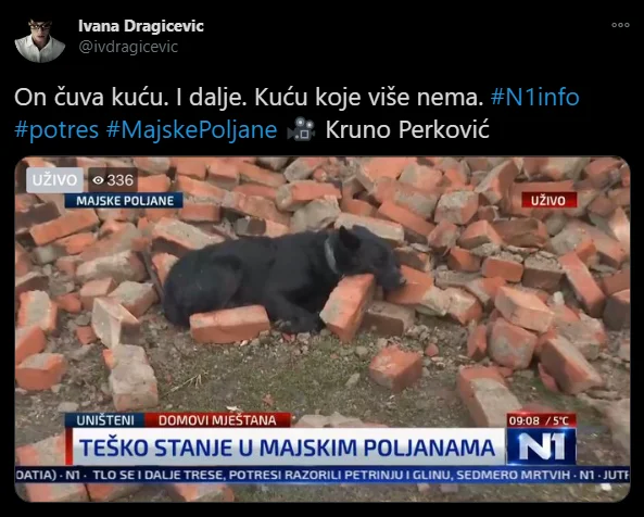 Earthquake destroyed the house, the dog continues to lie in ruins