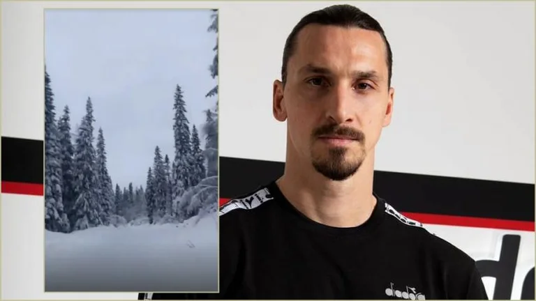 Ibrahimovic spends three million euros on a forest in Sweden