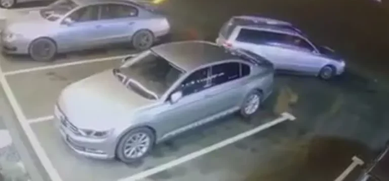 The exile breaks his car, steals his bags of money and documents