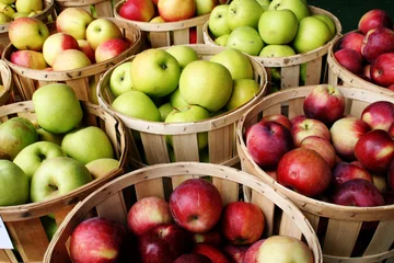 An apple a day keeps the doctor away: True or myth?