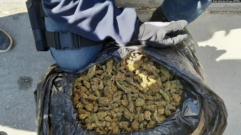 Zaev: Parte de la marihuana robada se encuentra en Kosovo