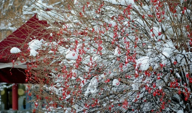 Oggi il primo giorno della stagione invernale, queste saranno le temperature