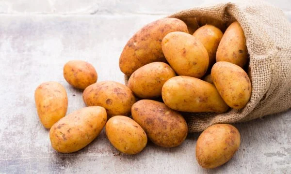 Sollten Sie Kartoffeln essen, wenn Sie sterben?