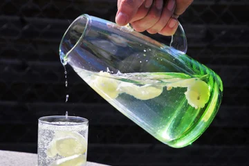 Should we drink eight cups of water a day? Are all fat harmful? Can Deodorants cause cancer?