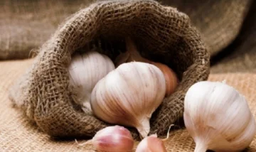 Diese Leute sollten keine Knoblauch essen.